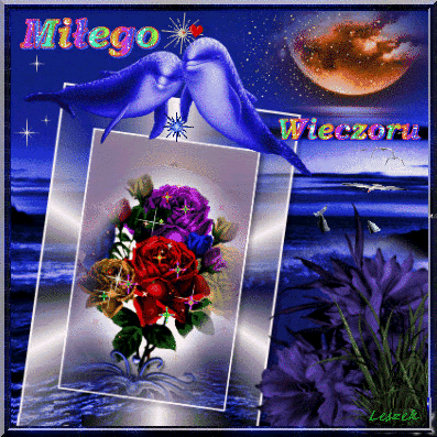 Niebieskie delfiny miłego wieczoru